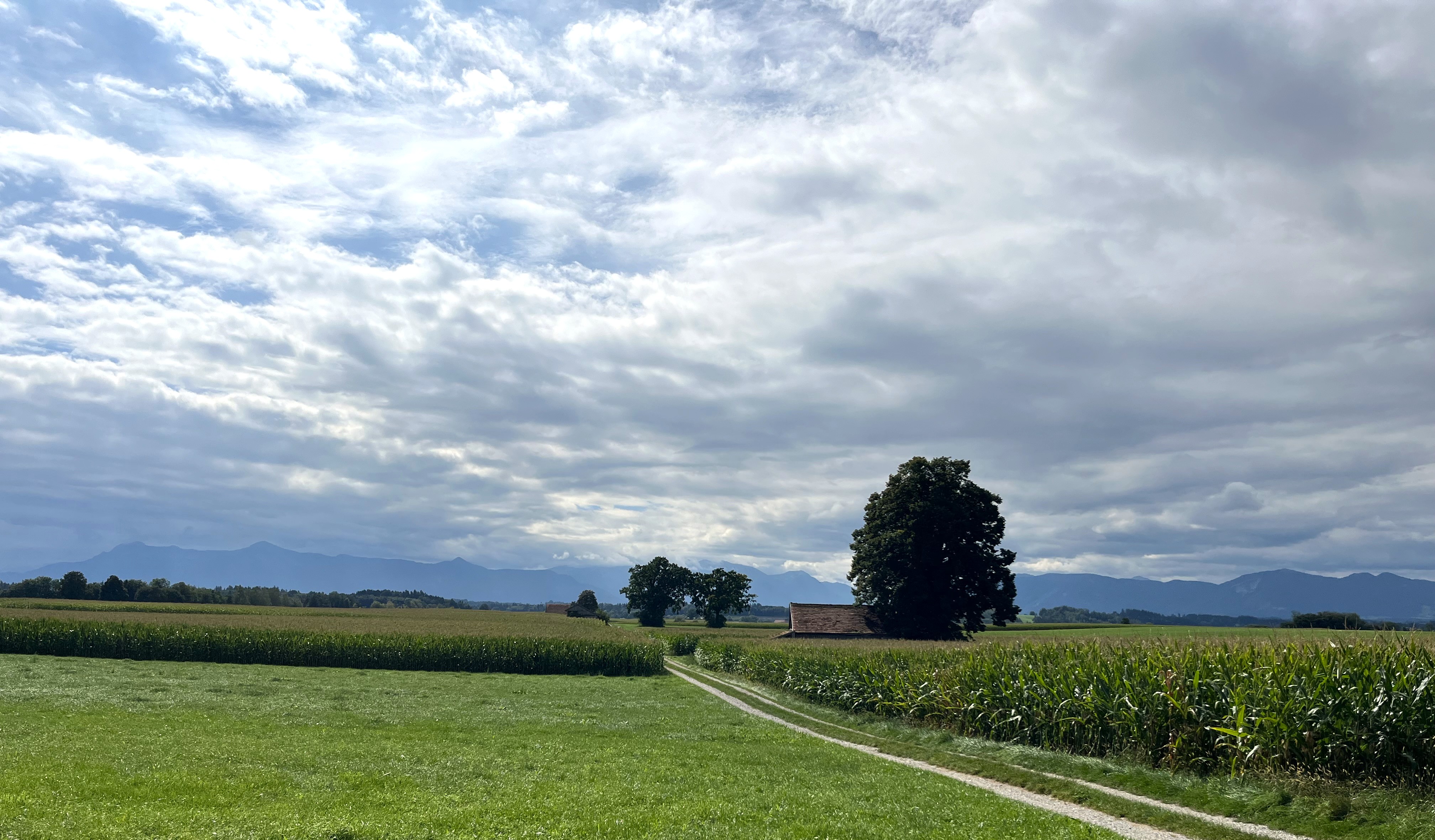 herbstliche Stimmung mit Wolken vor Alpenkulisse