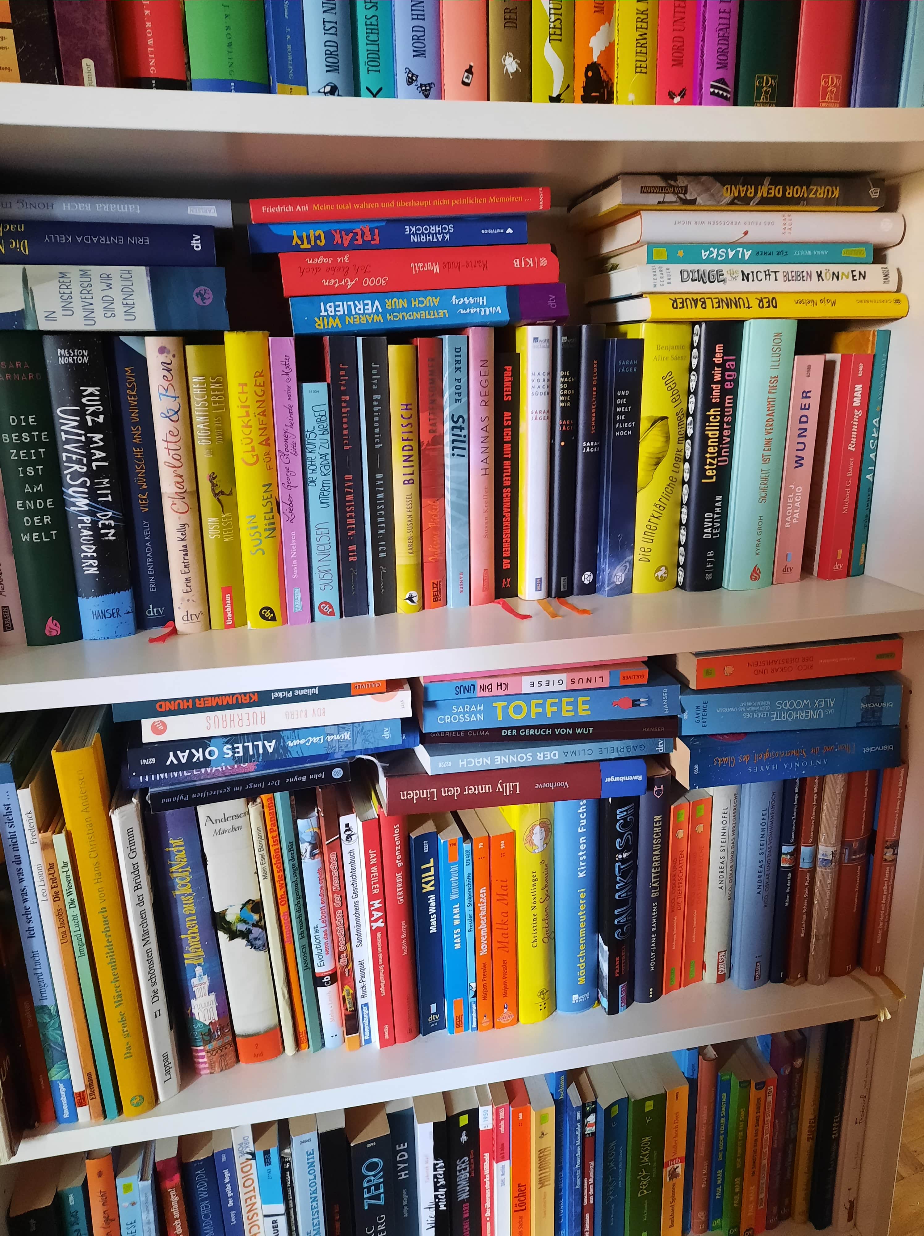 Zu sehen ist ein Bücherregal aus der Schulbibliothek.