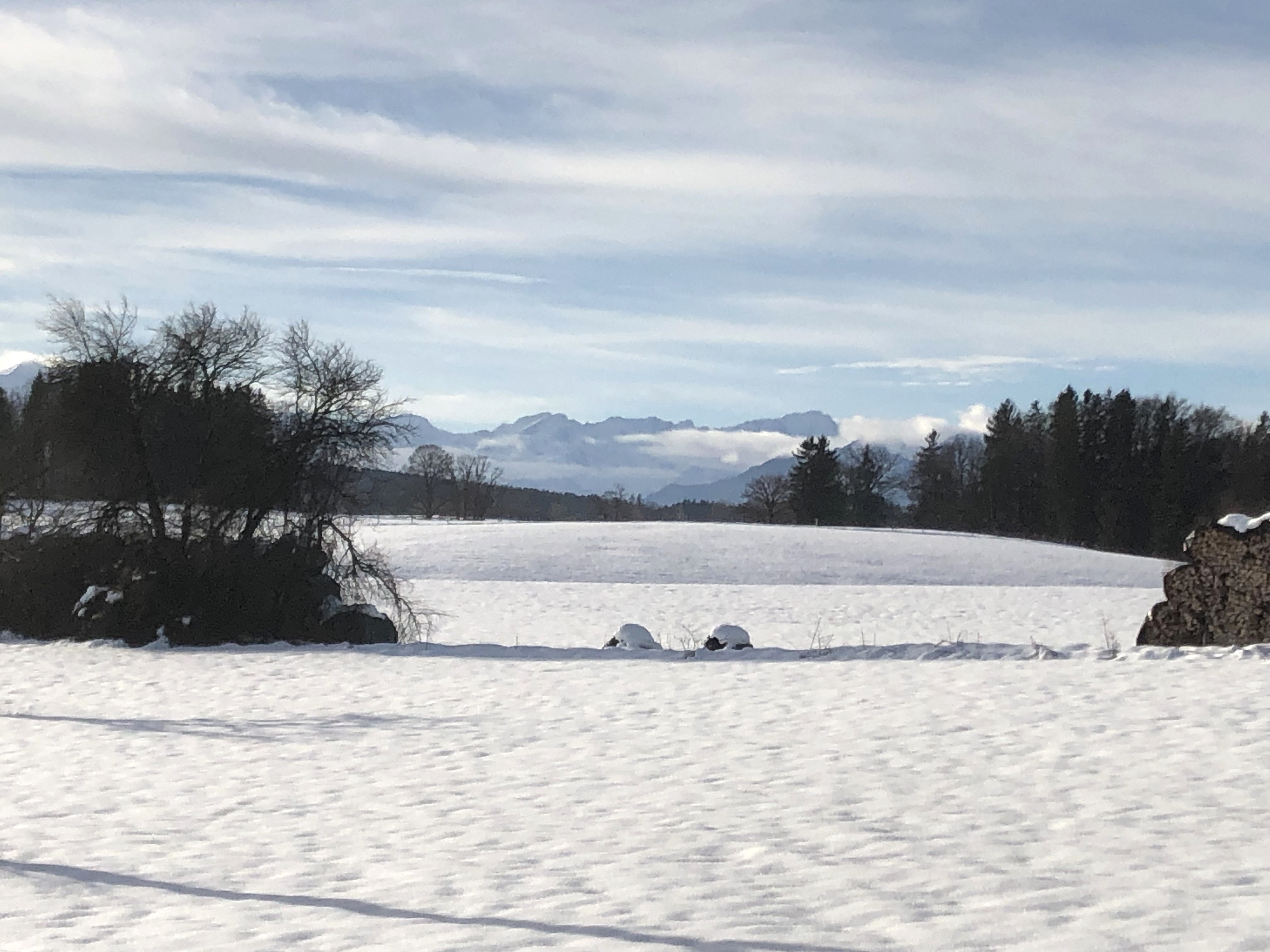 Schneebedeckte Felder vor einer Bergkulisse mit blauem Himmel.
