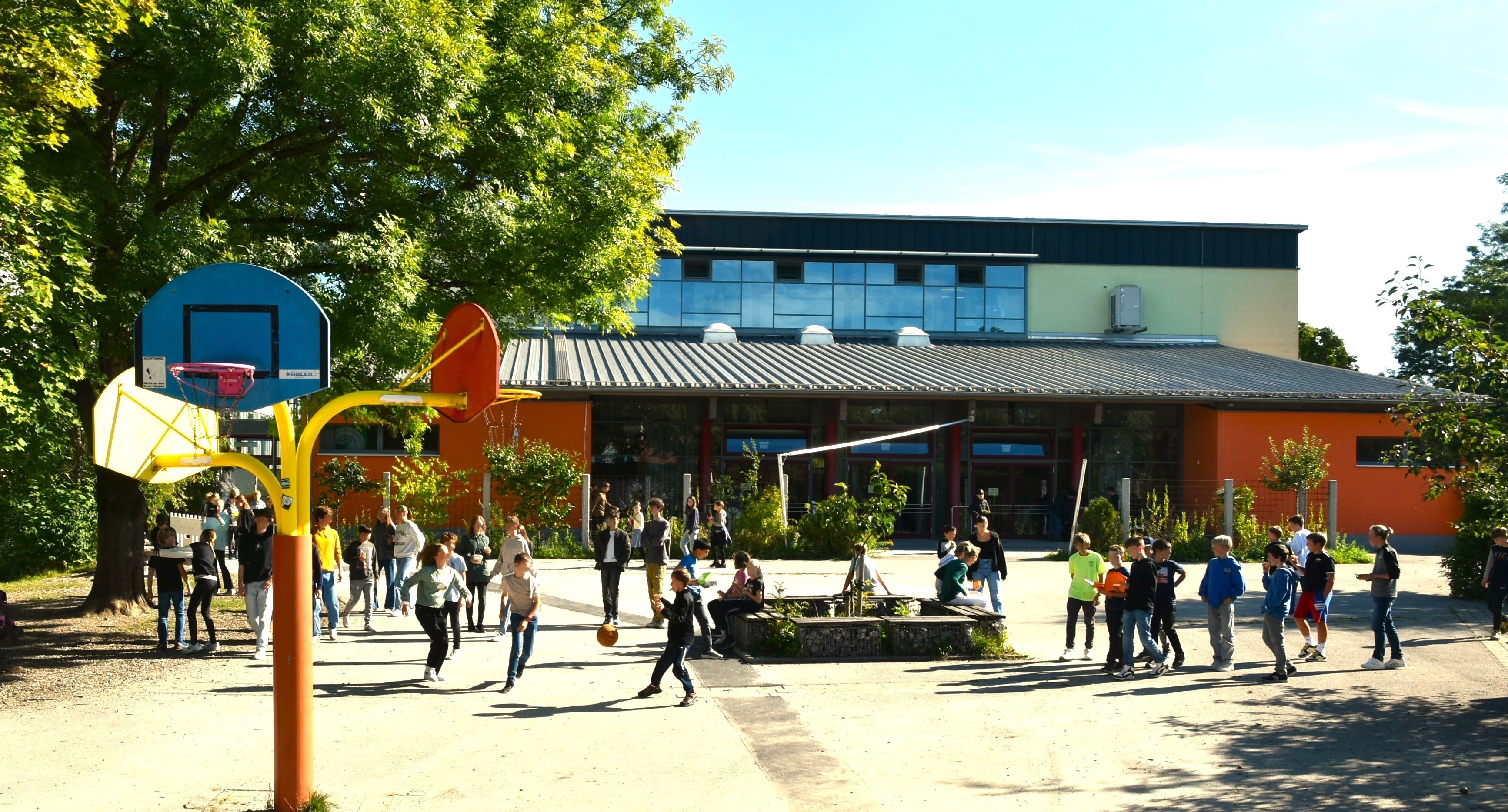 Kinder spielen auf dem Pausenhof, mit Schulgeb&auml;ude, Basketballkorb und Baum im Hintergrund.